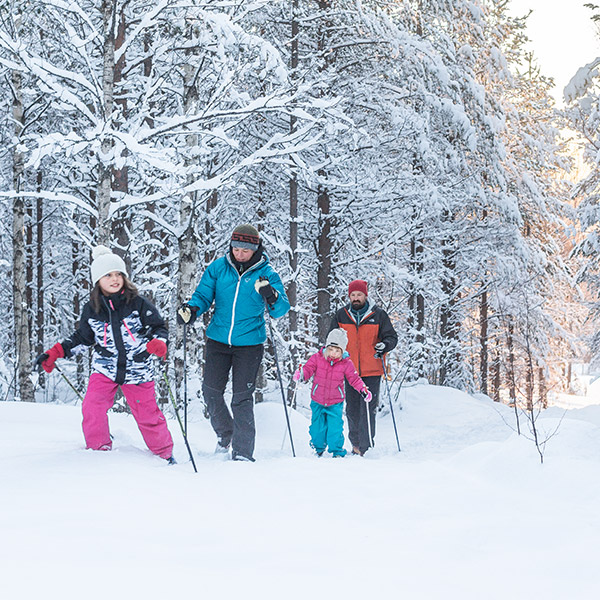 Skog